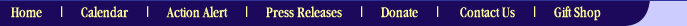 top nav bar